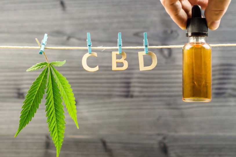 Descubre el poder del CBD: Tu guía definitiva para una vida equilibrada y saludable. - CBD BRAX